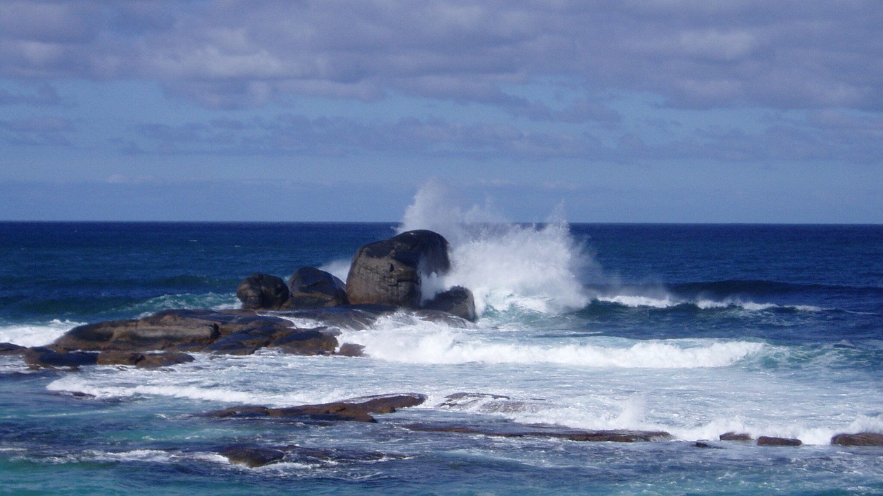 Photo of Others in Boat Harbour