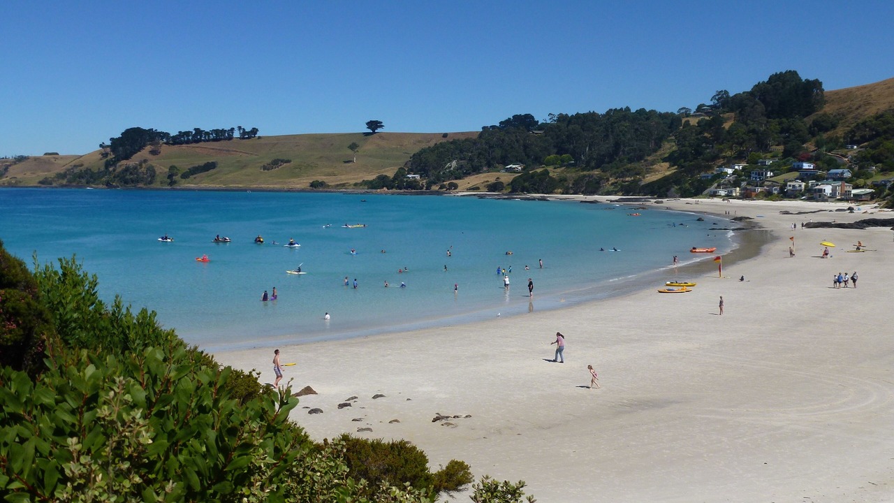 Photo of Others in Boat Harbour