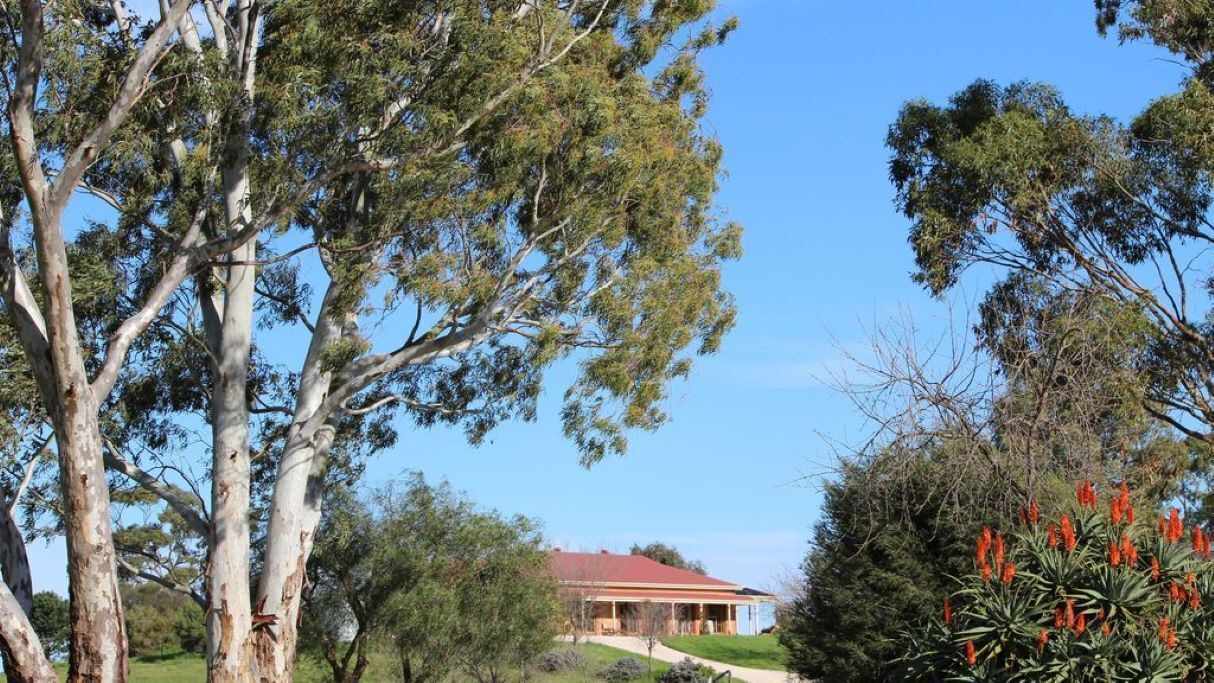 Photo of Outdoor in Emu Flat