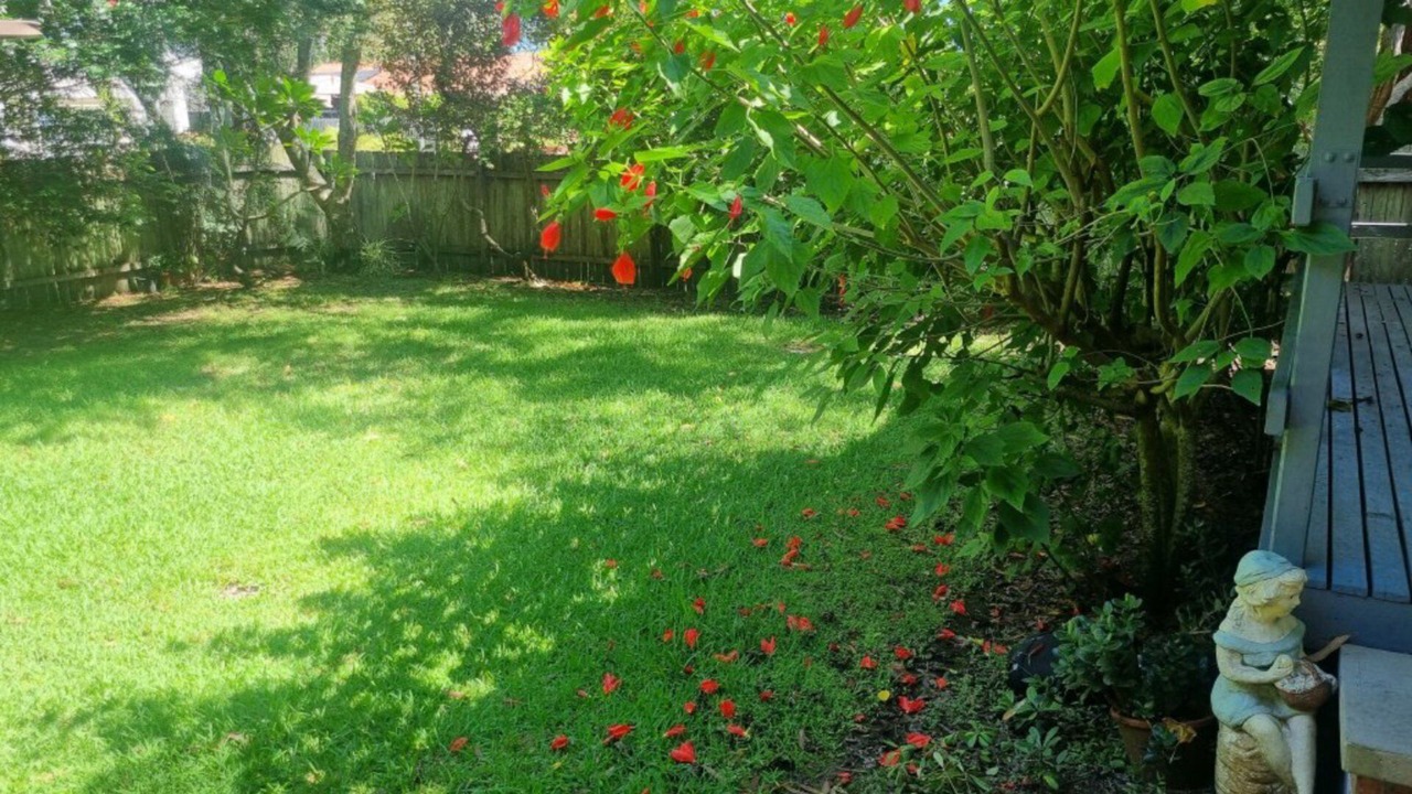 Photo of Outdoor in Hawks Nest