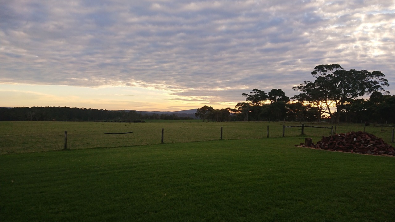Photo of Outdoor in Scotsdale