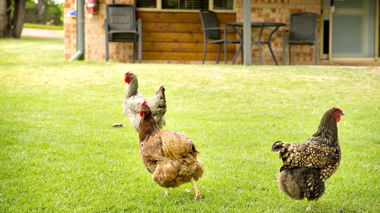 Photo of Outdoor in Margaret River