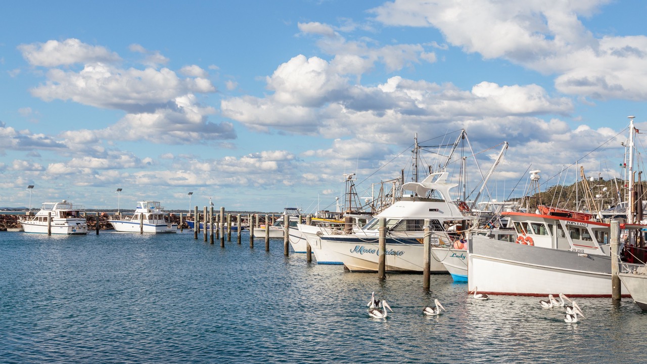 Photo of Outdoor in Anna Bay