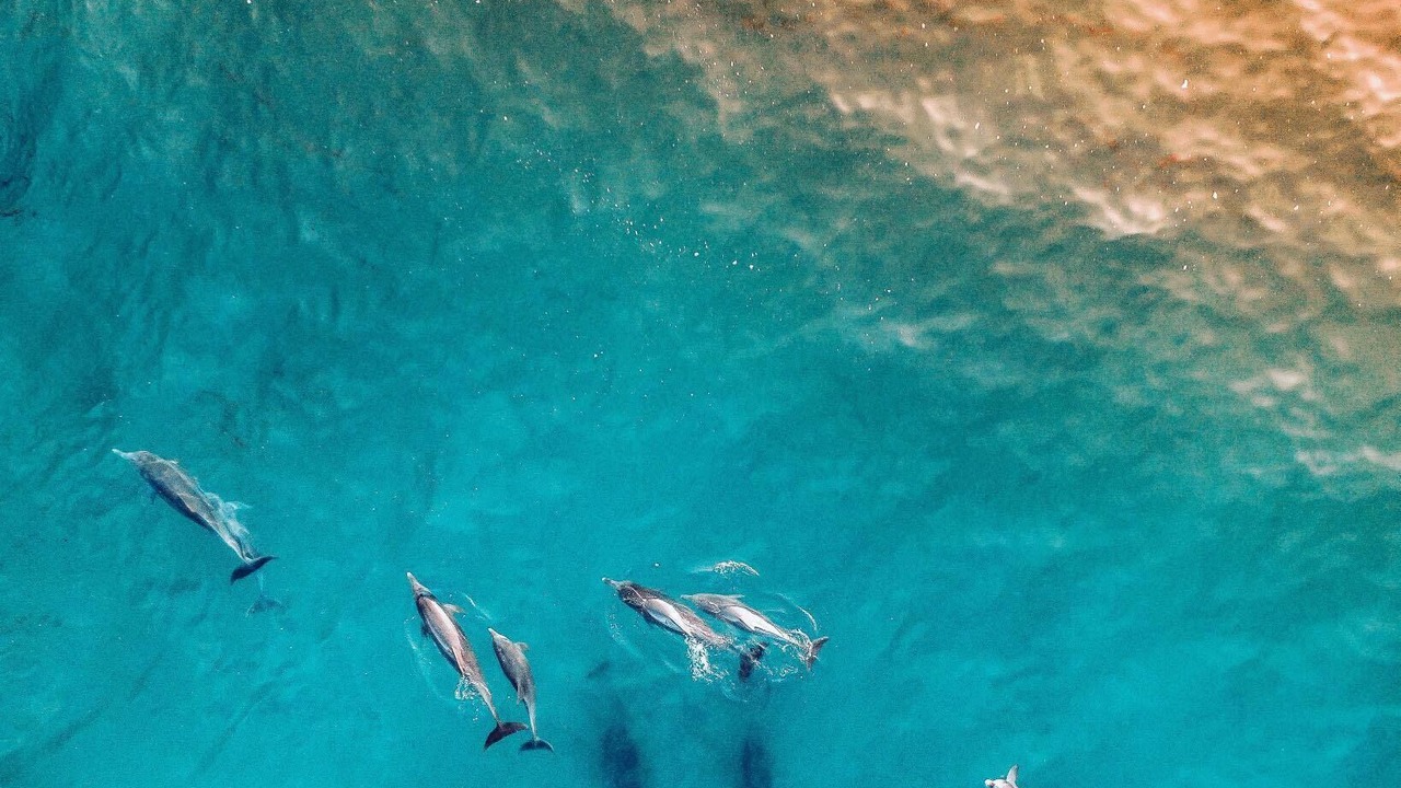 Photo of Others in Catherine Hill Bay