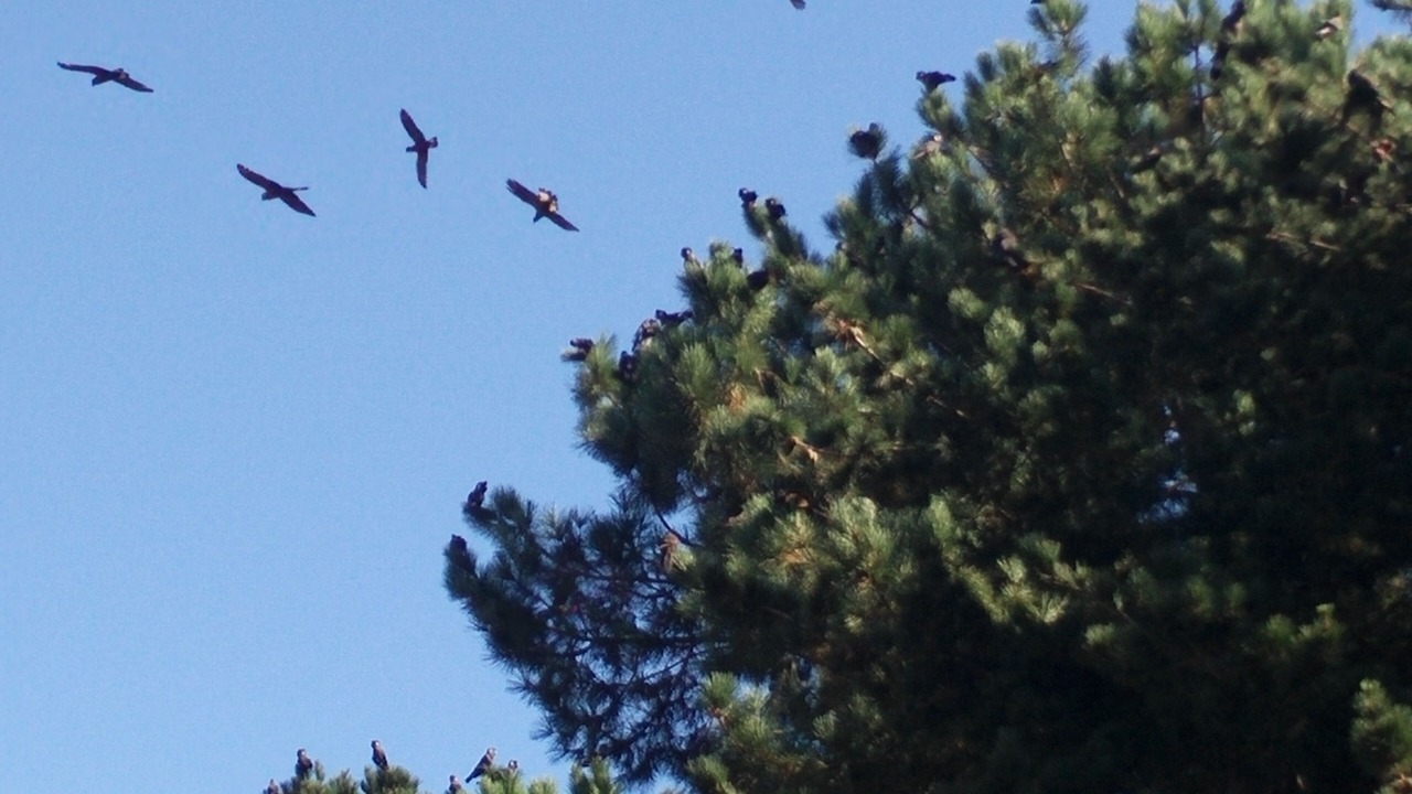 Photo of Others in Condingup