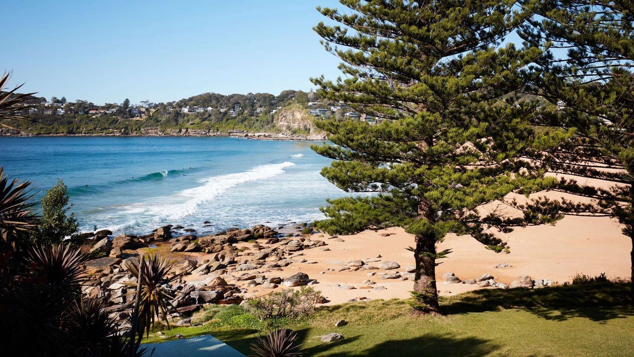 Photo of Others in Whale Beach