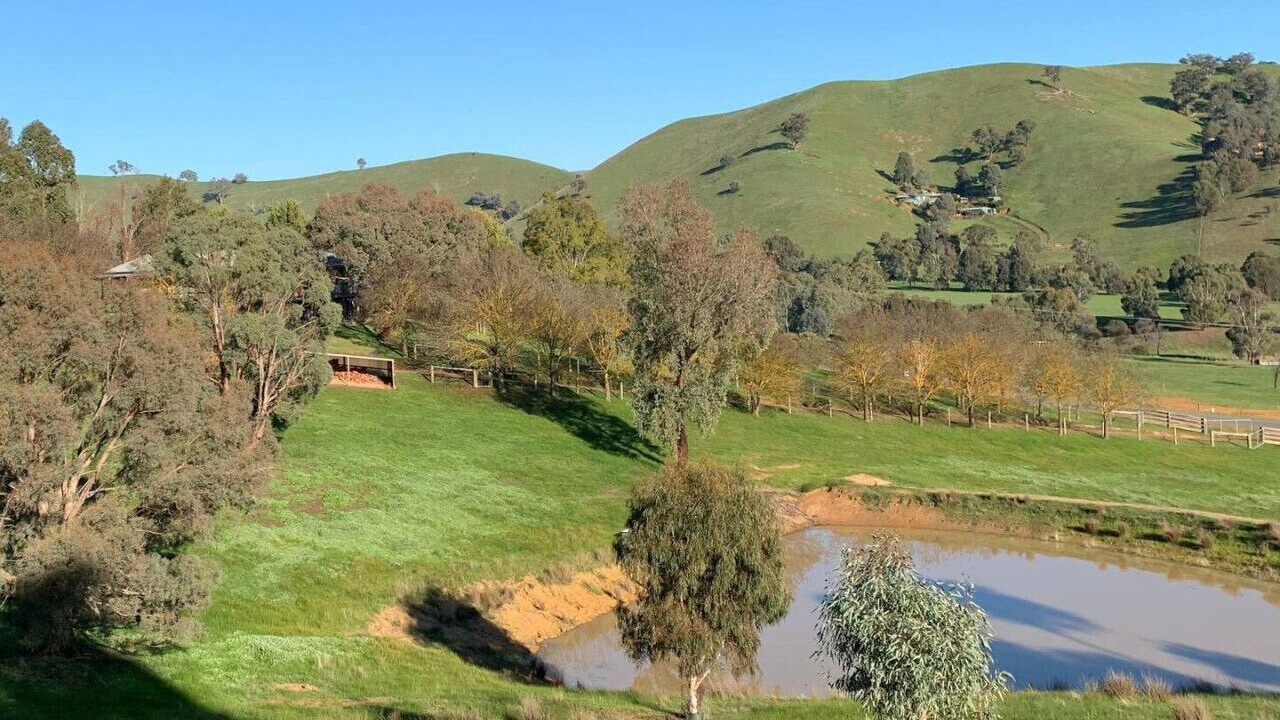 Photo of Others in Bonnie Doon