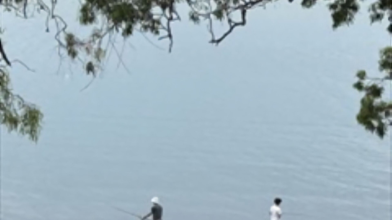 Photo of Others in Summerland Point