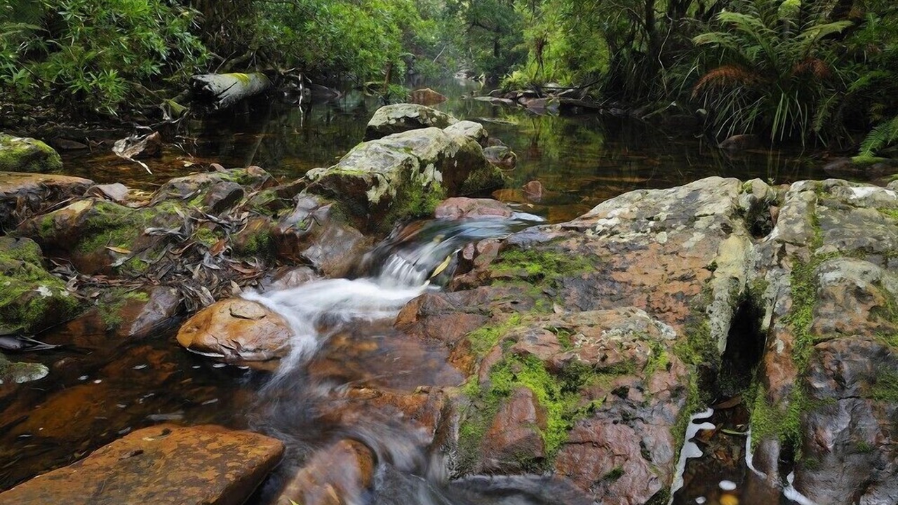 Photo of Outdoor in Lakes Entrance