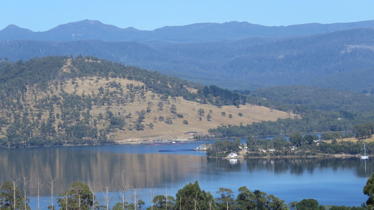 Photo of Others in Lower Wattle Grove
