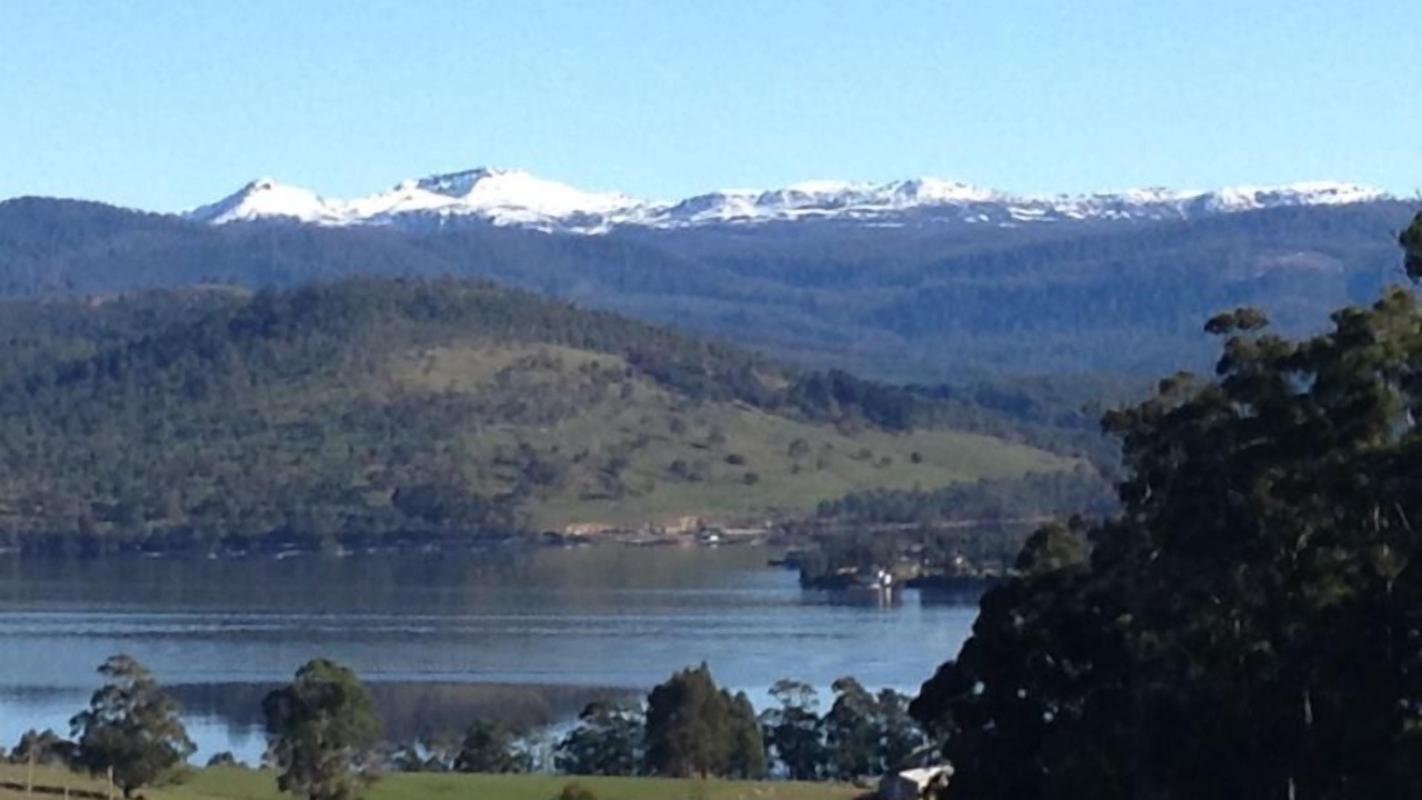 Photo of Others in Lower Wattle Grove