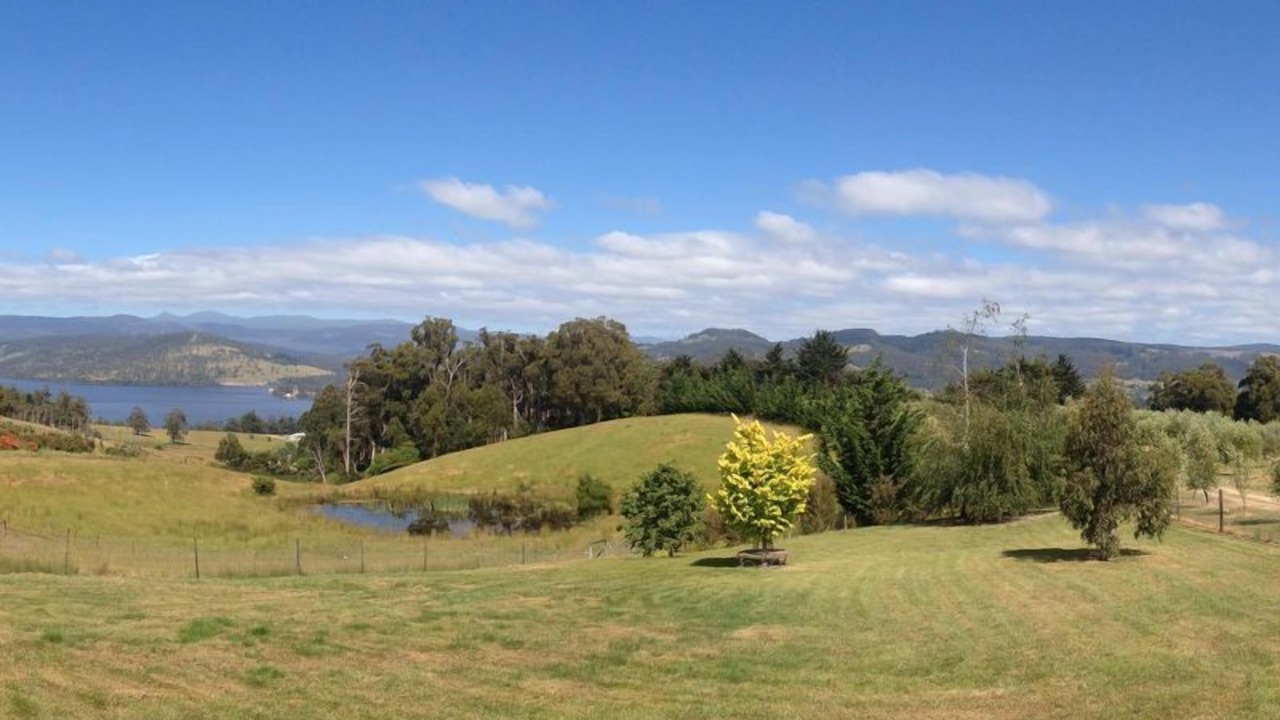 Photo of Others in Lower Wattle Grove