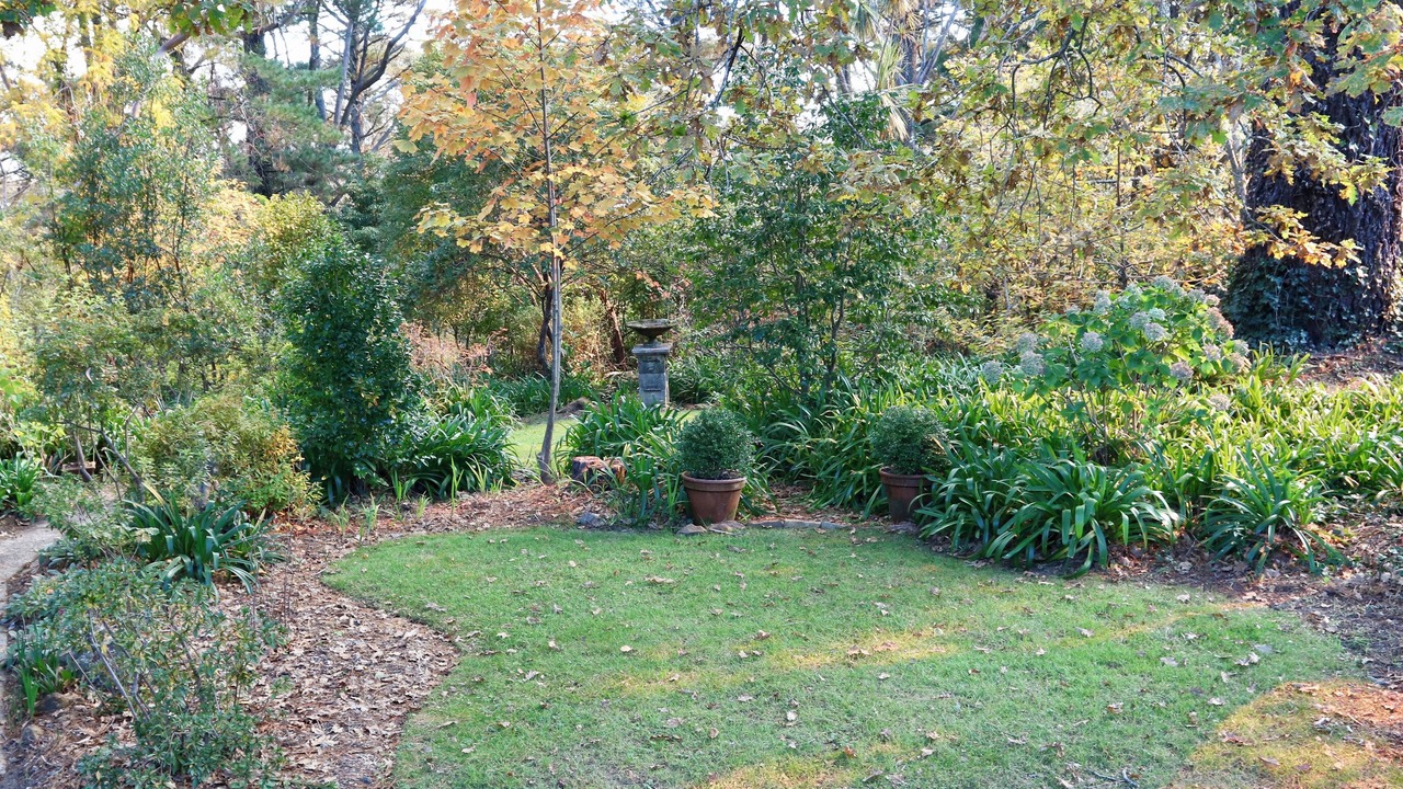 Photo of Outdoor in Wentworth Falls