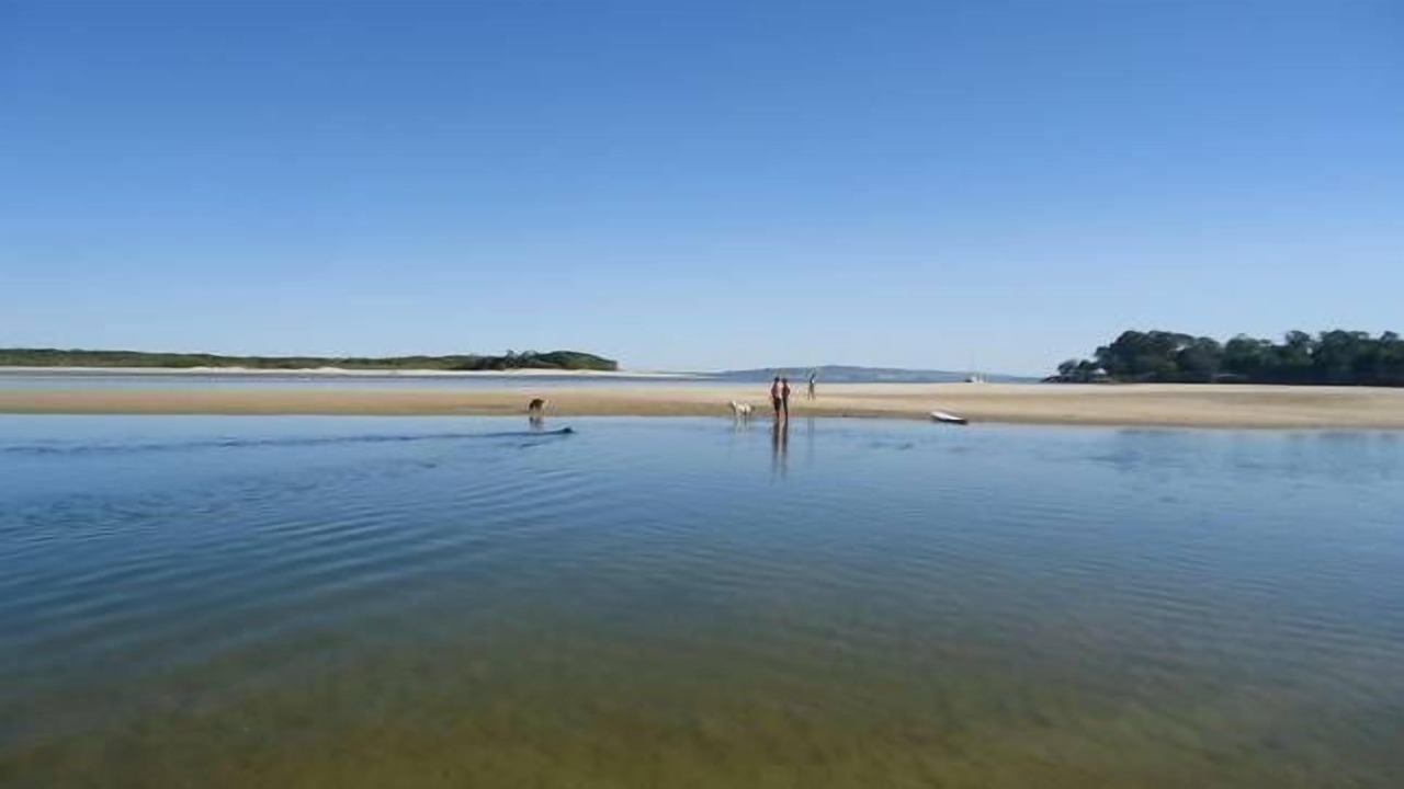 Photo of Others in Noosa Heads