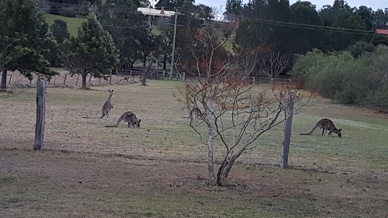 Photo of Others in Lovedale