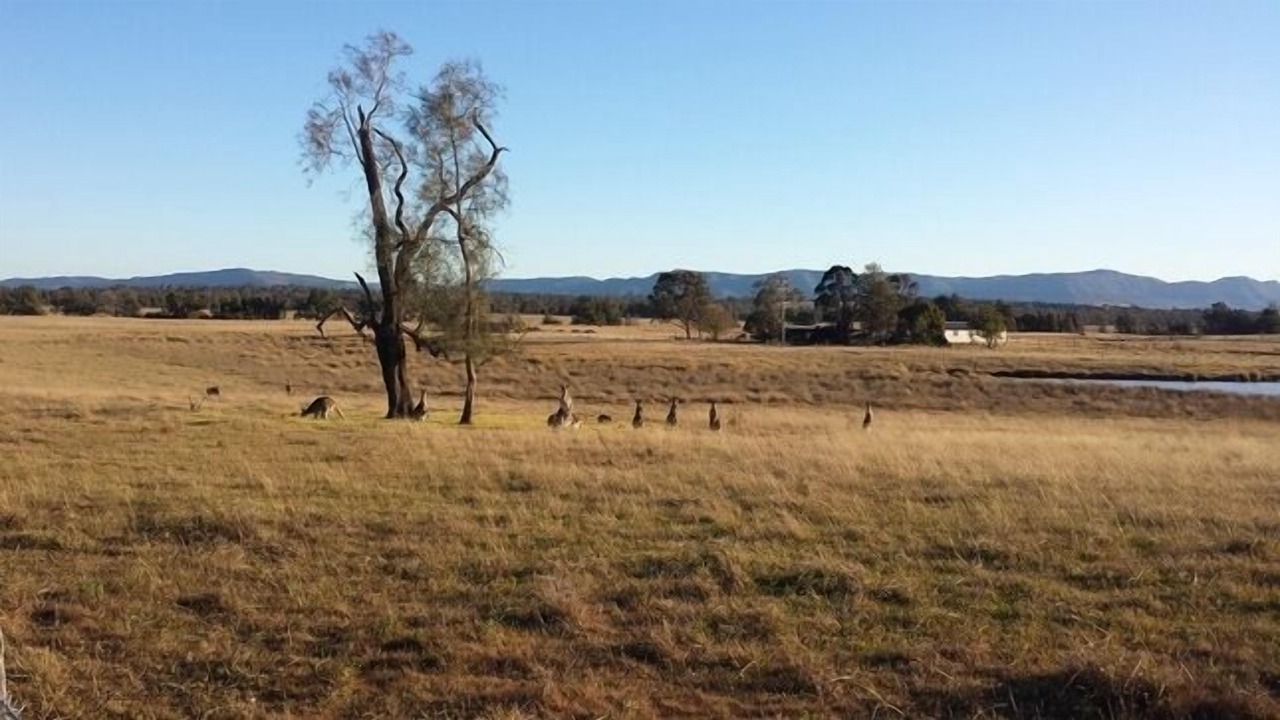 Photo of Others in Lovedale