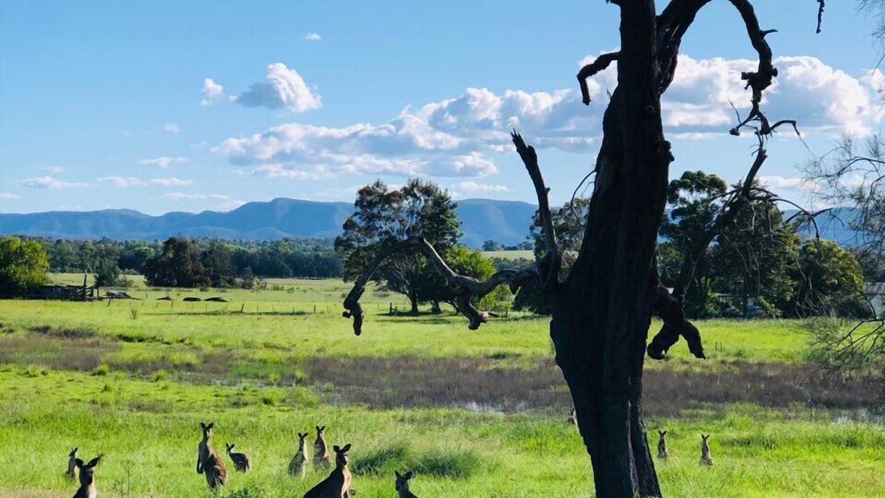 Photo of Others in Lovedale