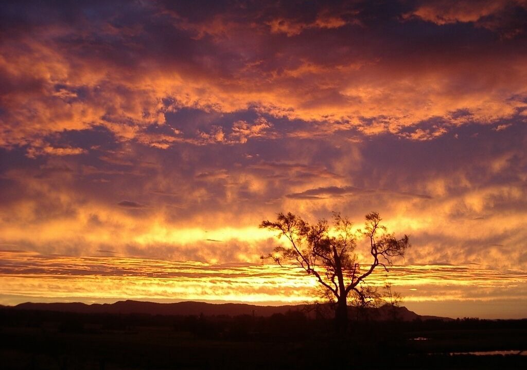Photo of Others in Lovedale