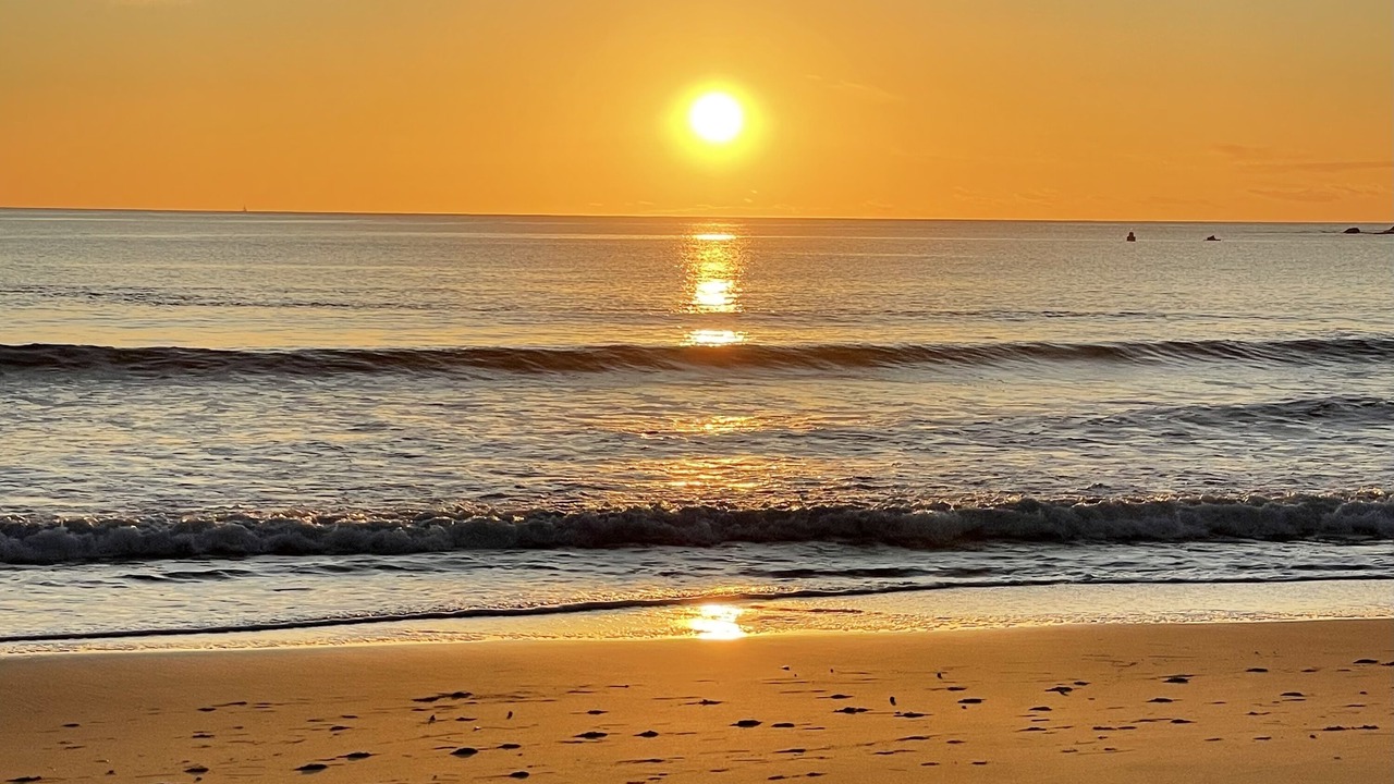 Photo of Others in Terrigal