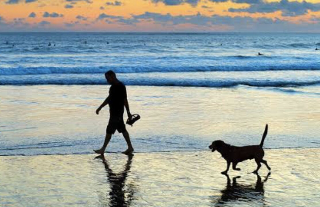 Photo of Others in Terrigal