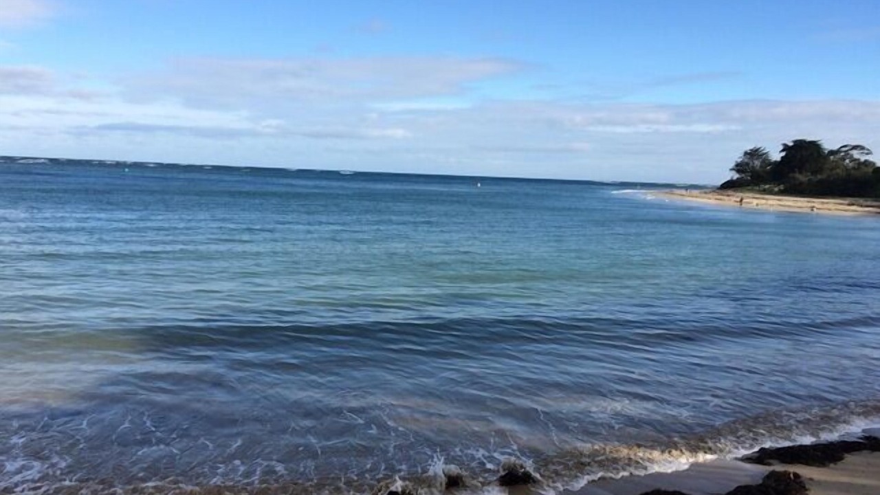 Photo of Others in Inverloch