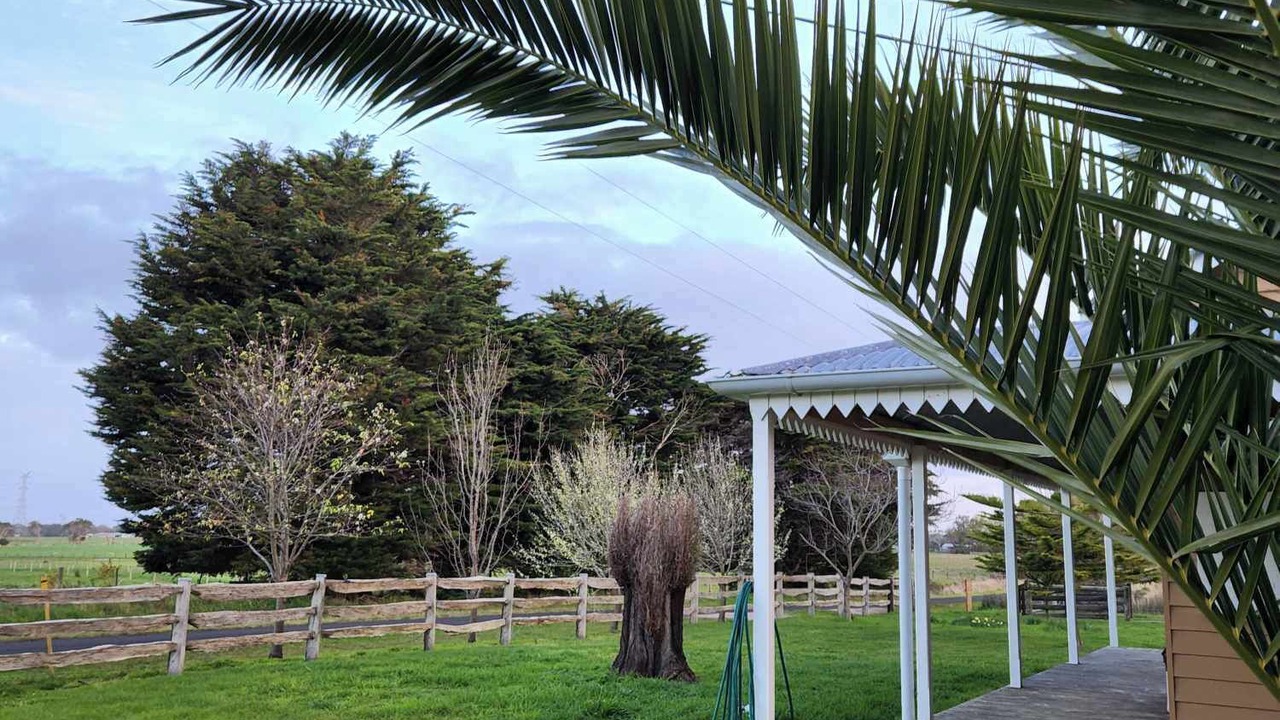 Photo of Outdoor in Cashmore