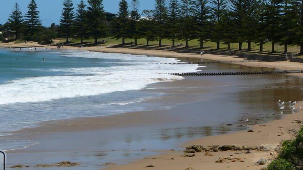 Photo of Others in Torquay