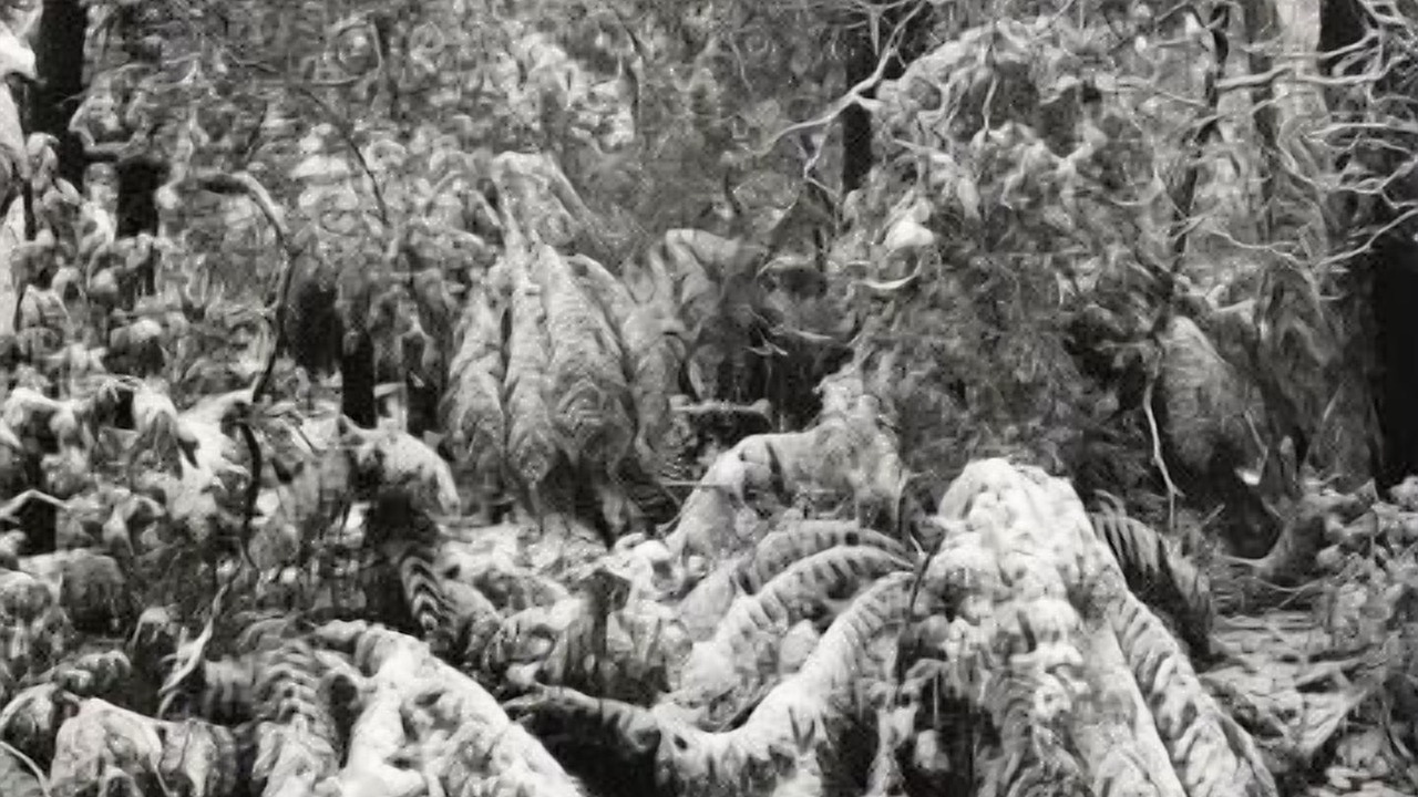 Photo of Others in Warburton