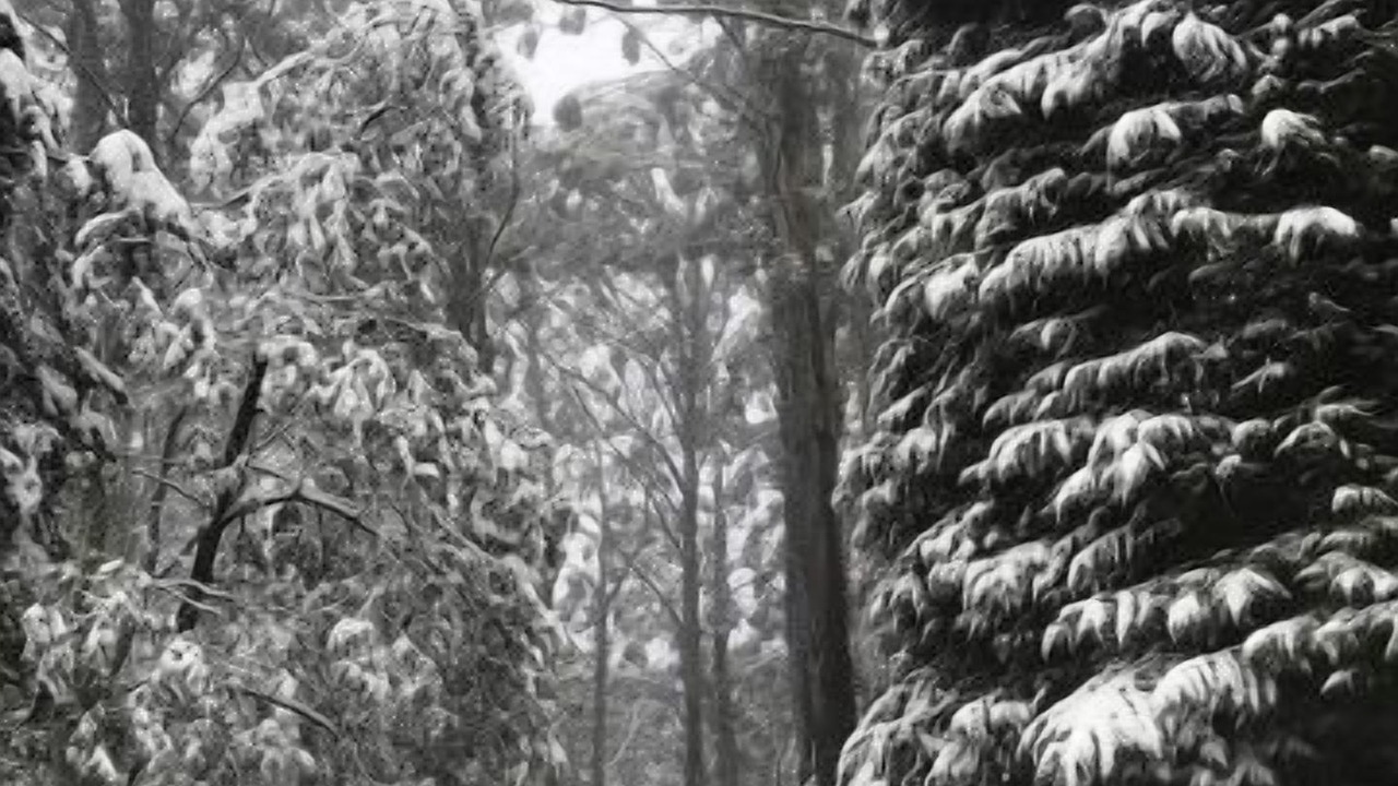 Photo of Outdoor in Warburton