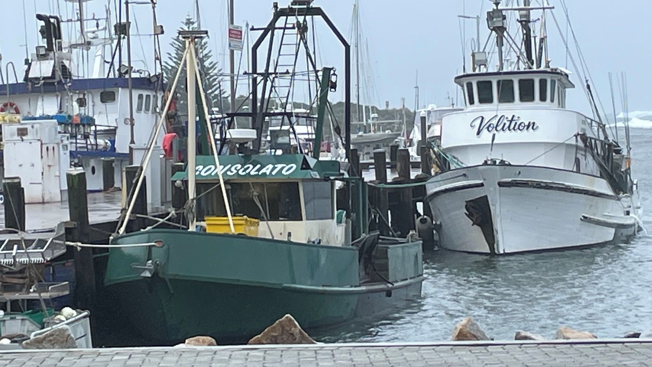 Photo of Others in Bermagui