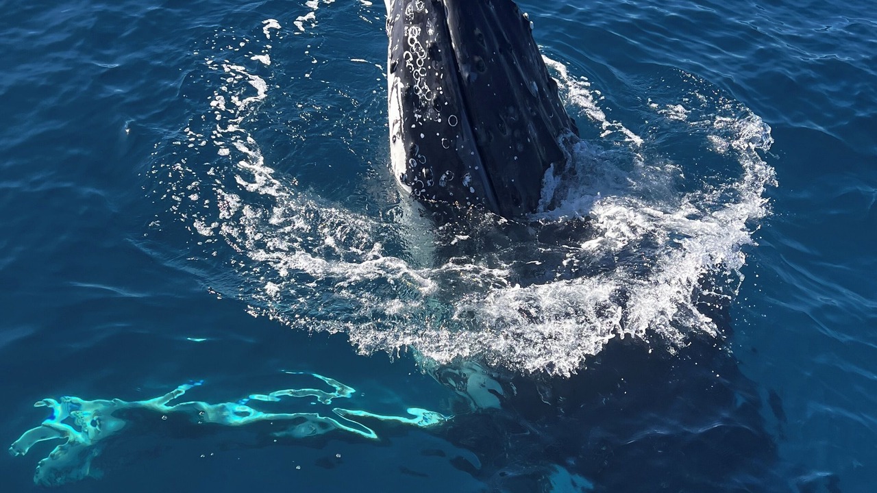 Photo of Outdoor in Bermagui