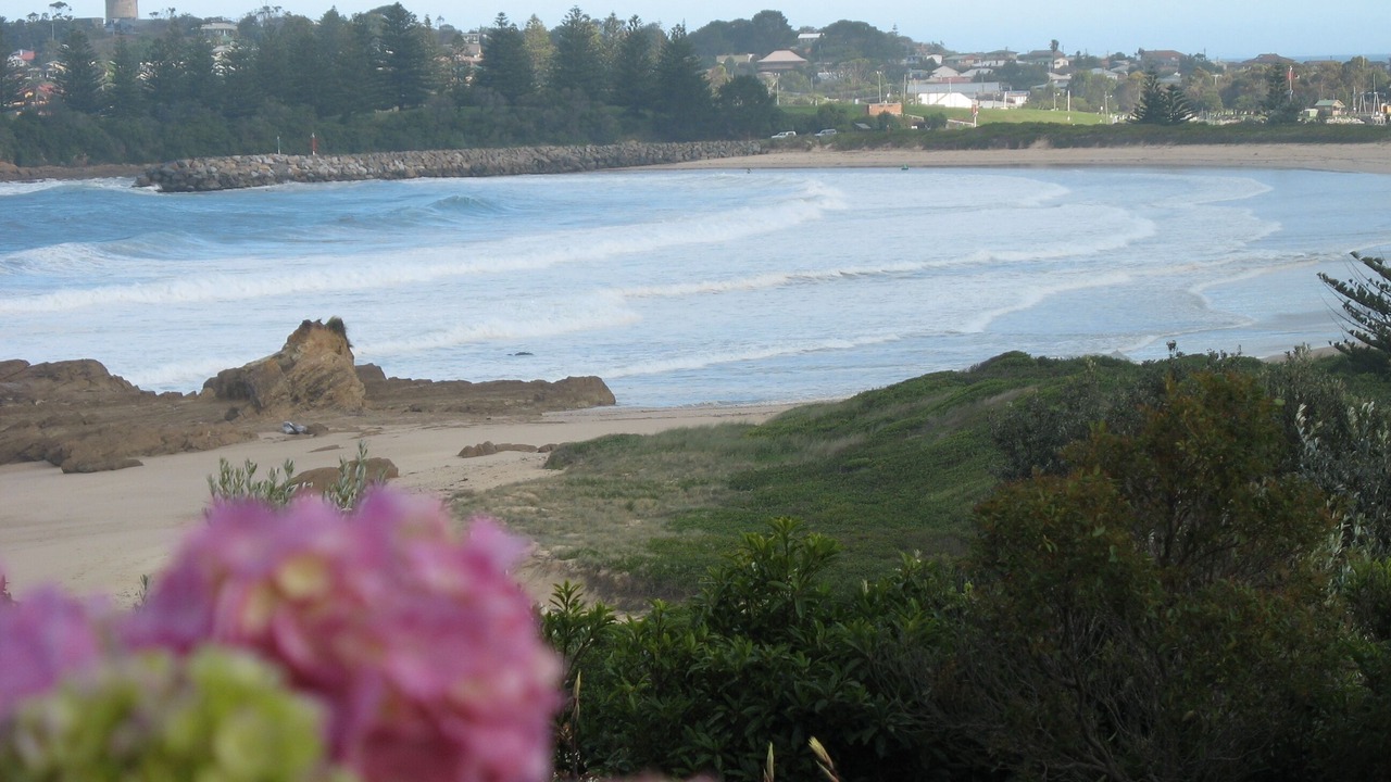 Photo of Others in Bermagui