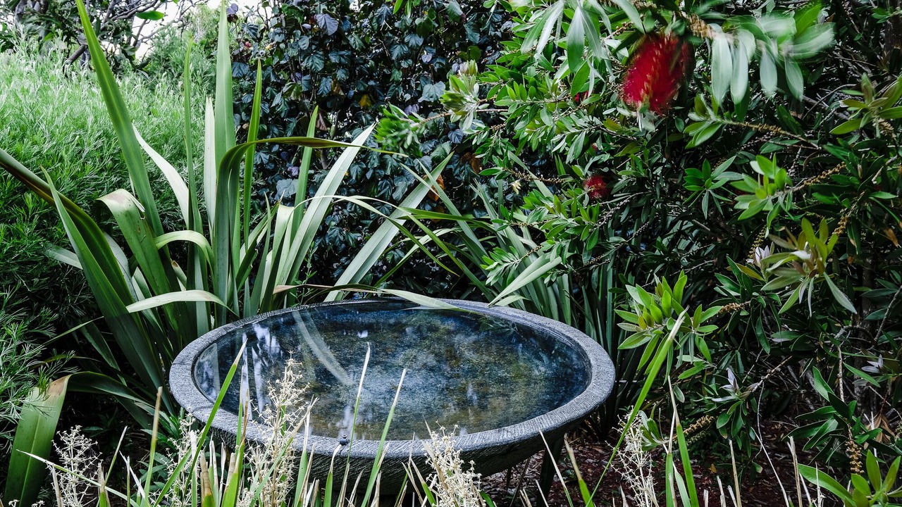 Photo of Outdoor in Prevelly