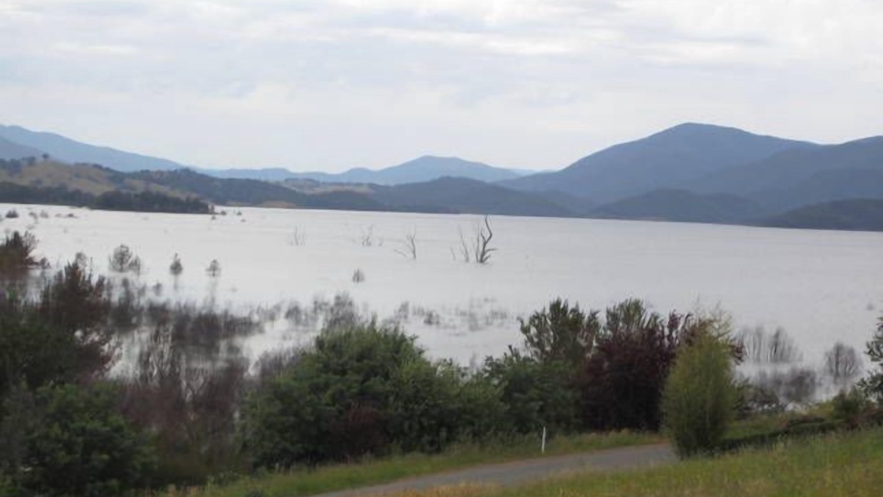 Photo of Others in Goughs Bay