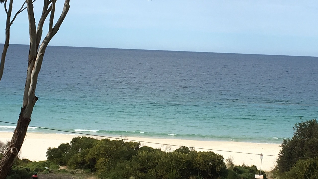 Photo of Others in Spring Beach