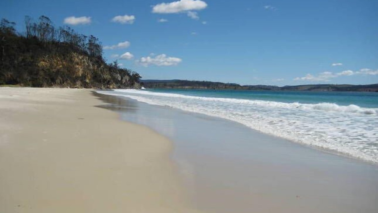 Photo of Others in Spring Beach