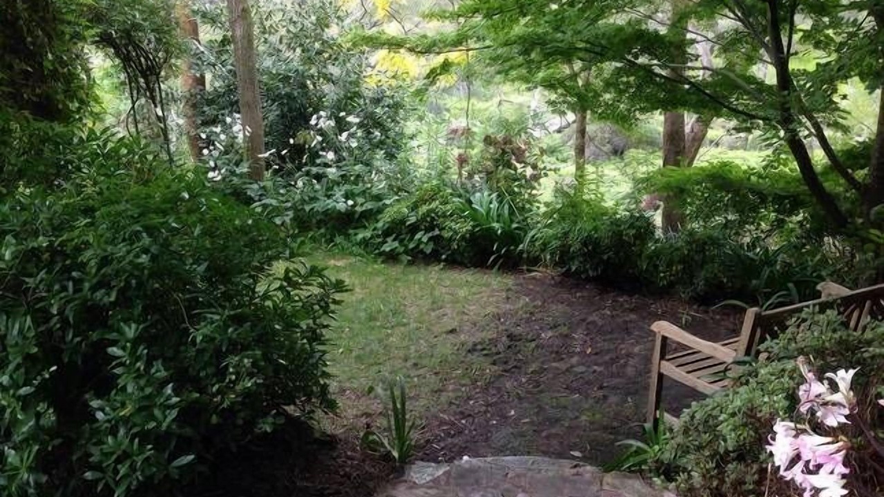 Photo of Outdoor in Wentworth Falls