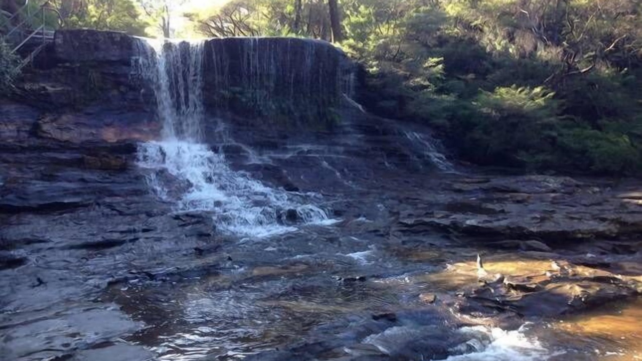 Photo of Others in Wentworth Falls