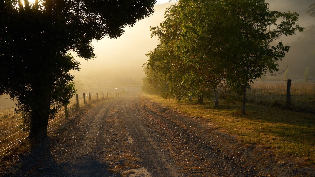 Photo of Others in Neerim East