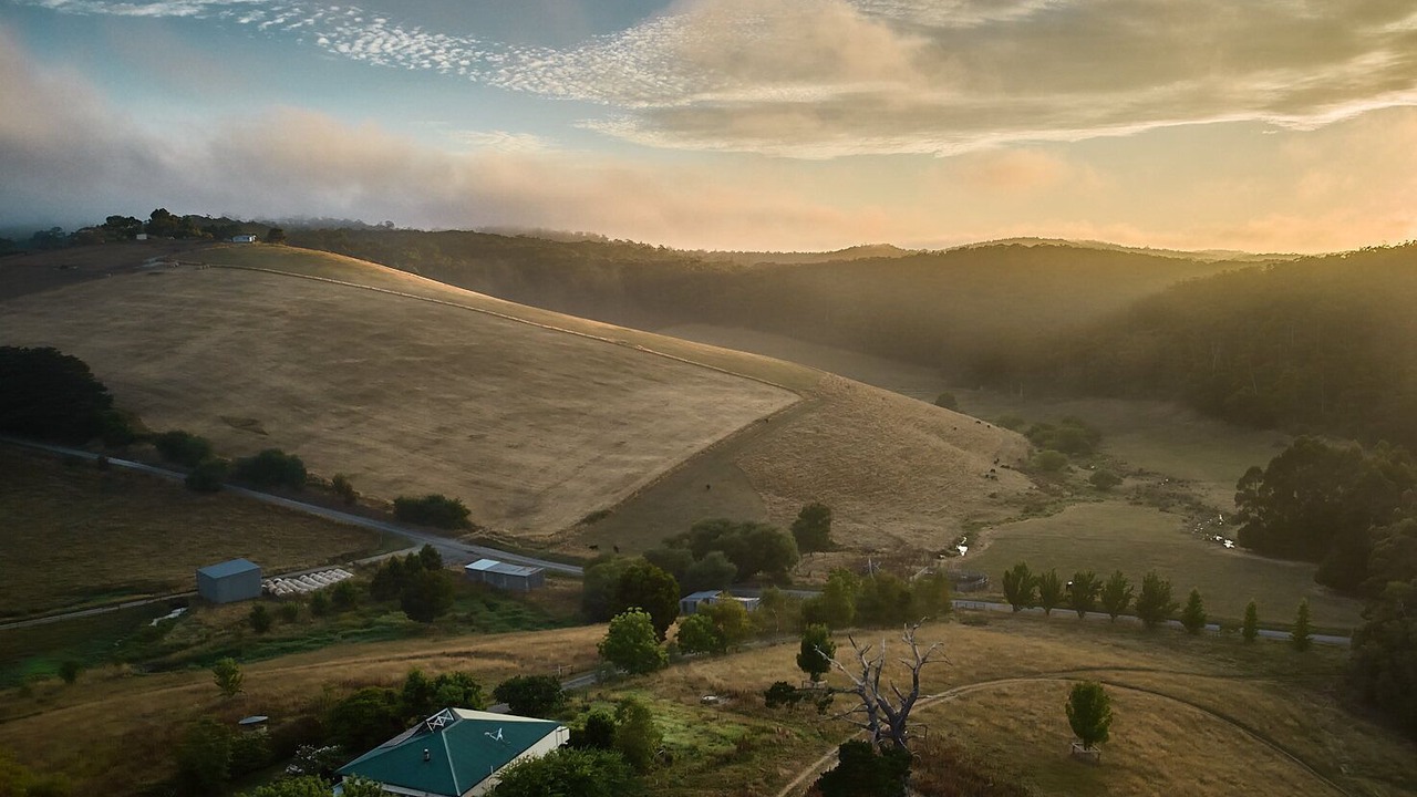 Photo of Others in Neerim East