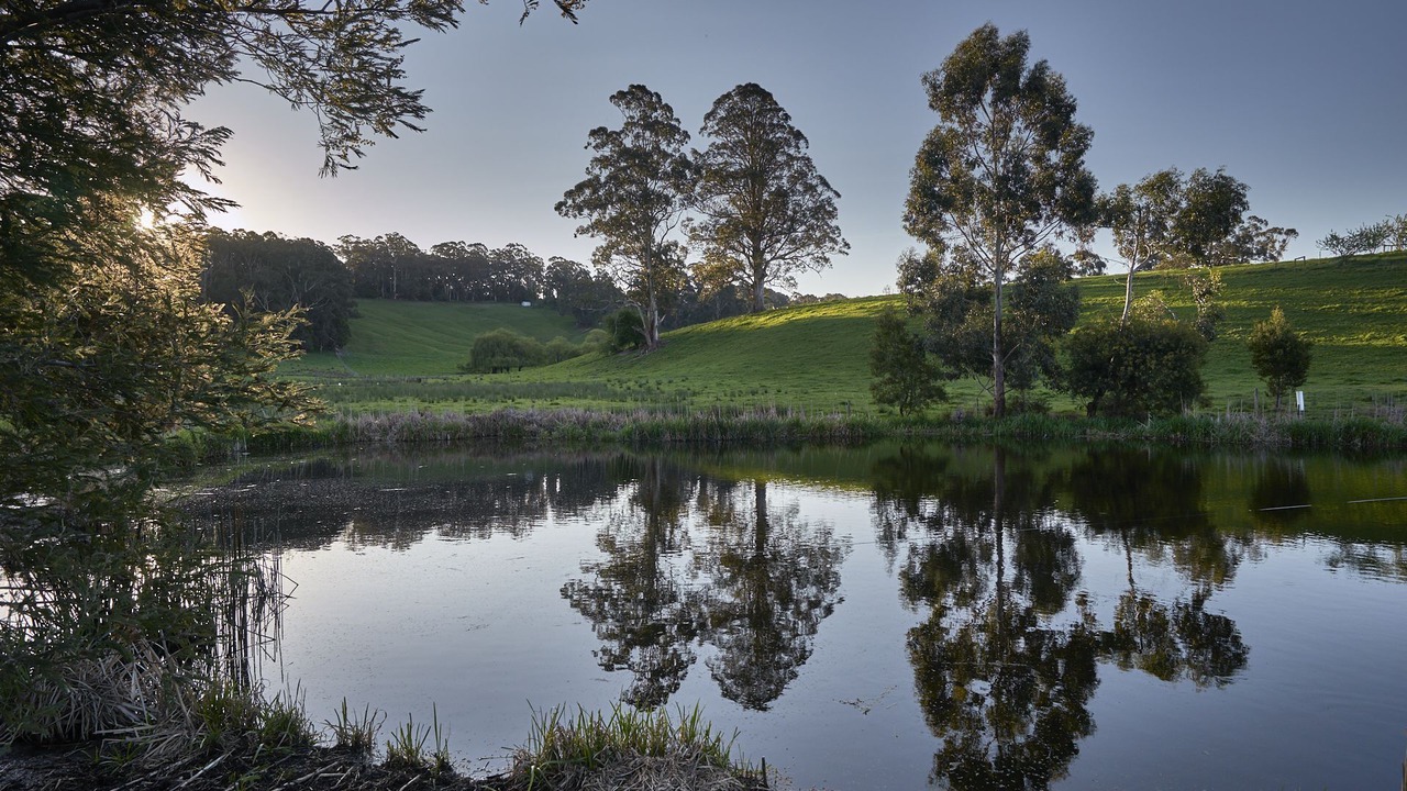 Photo of Others in Neerim East
