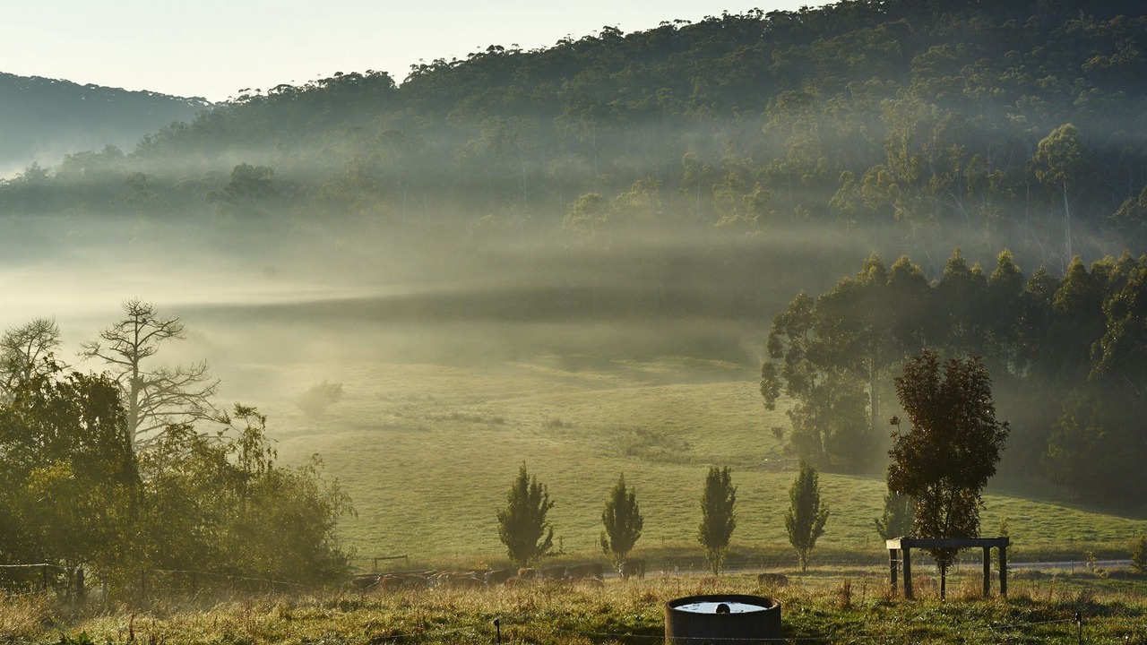 Photo of Others in Neerim East