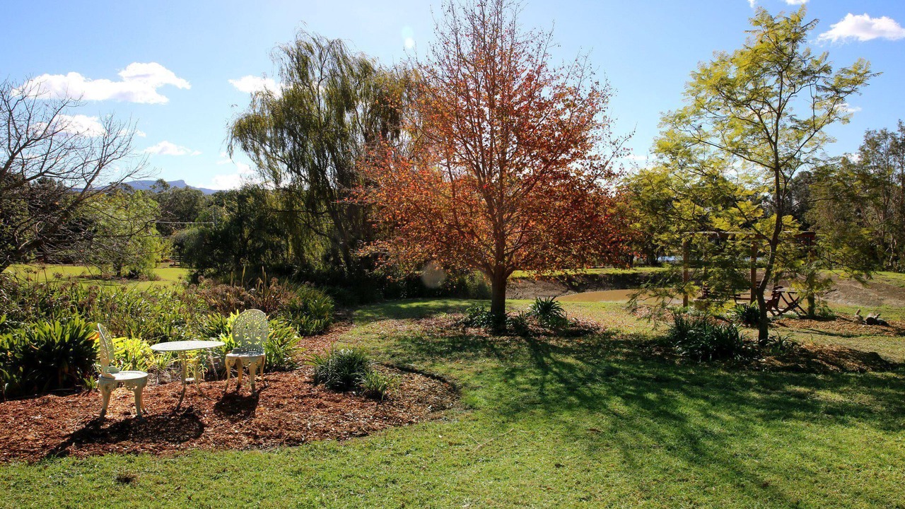 Photo of Outdoor in Berry