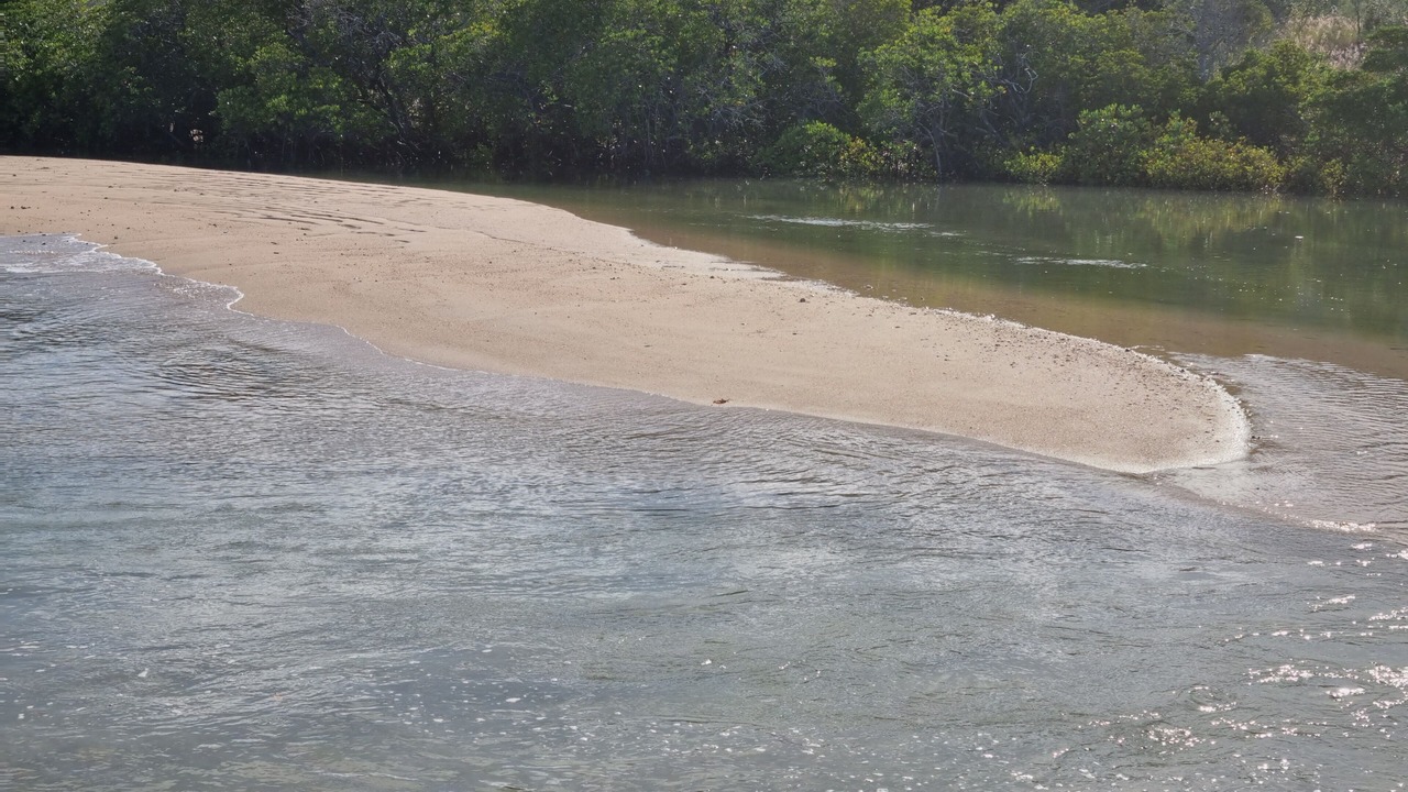 Photo of Others in Cape Gloucester