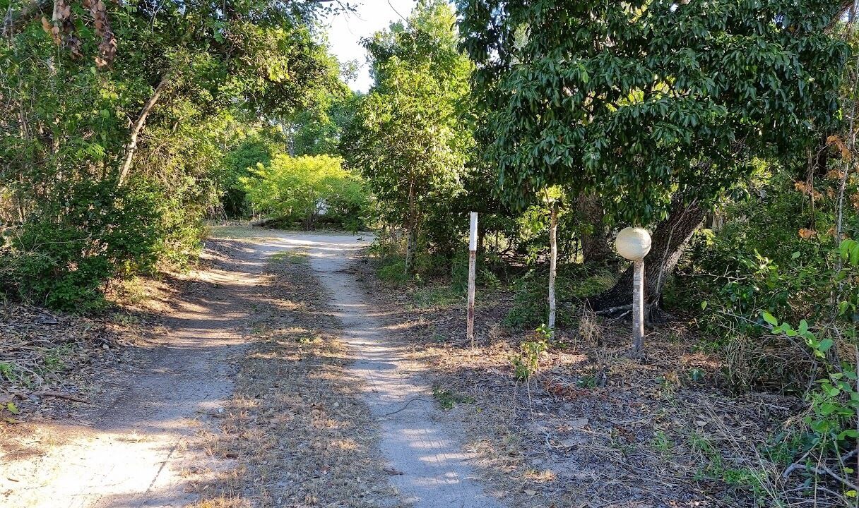 Photo of Others in Cape Gloucester