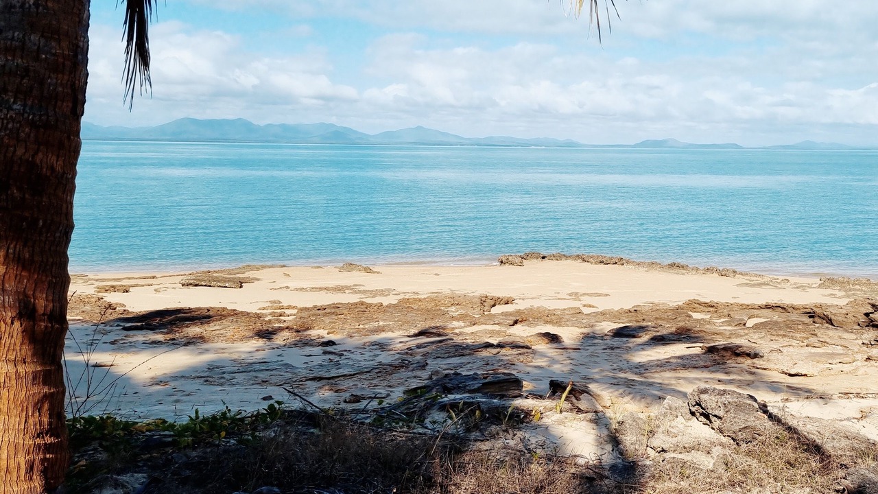 Photo of Others in Cape Gloucester