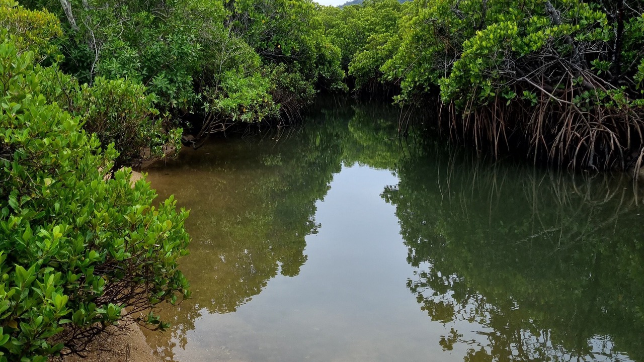 Photo of Others in Cape Gloucester
