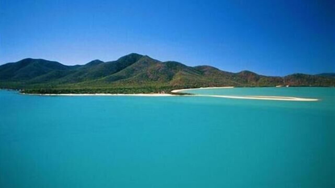 Photo of Others in Cape Gloucester
