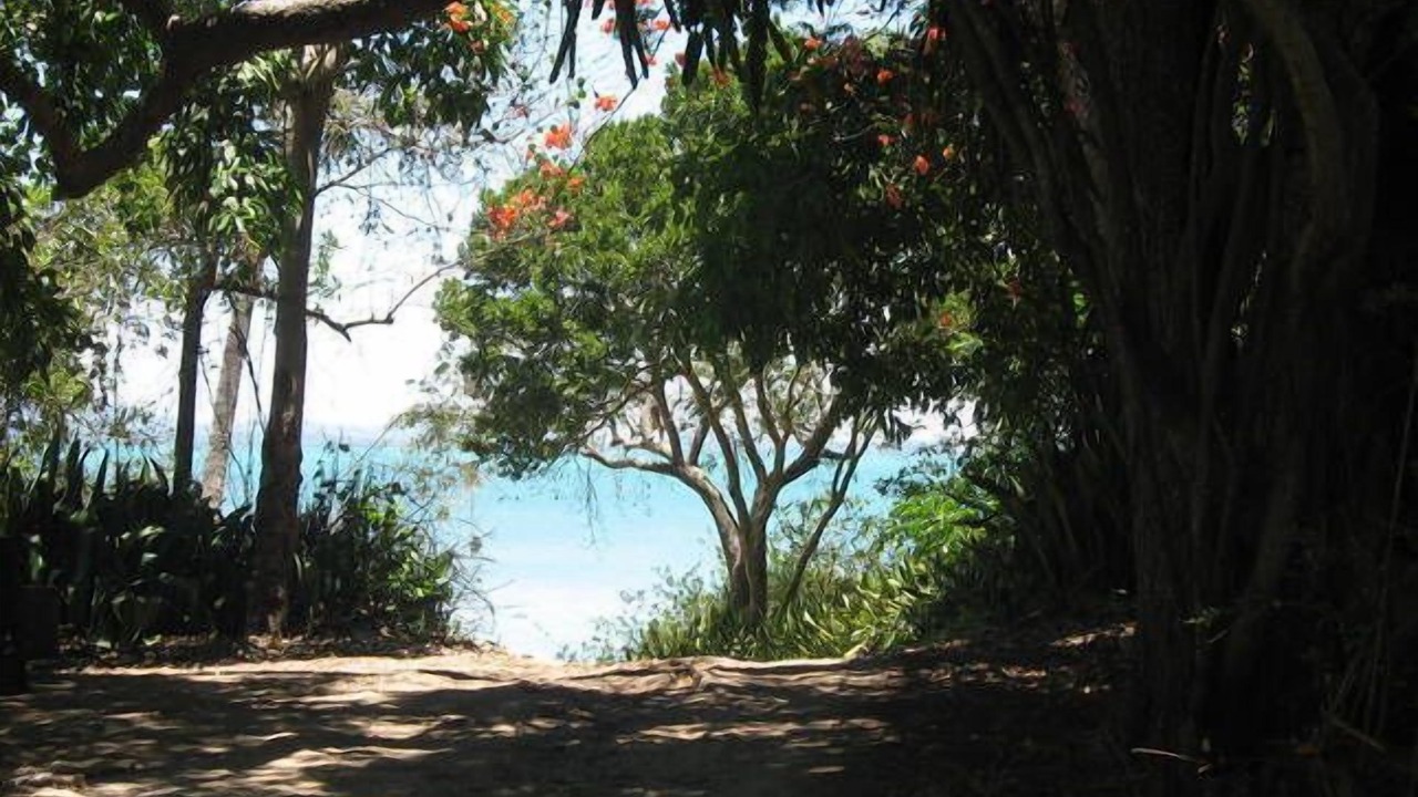 Photo of Others in Cape Gloucester
