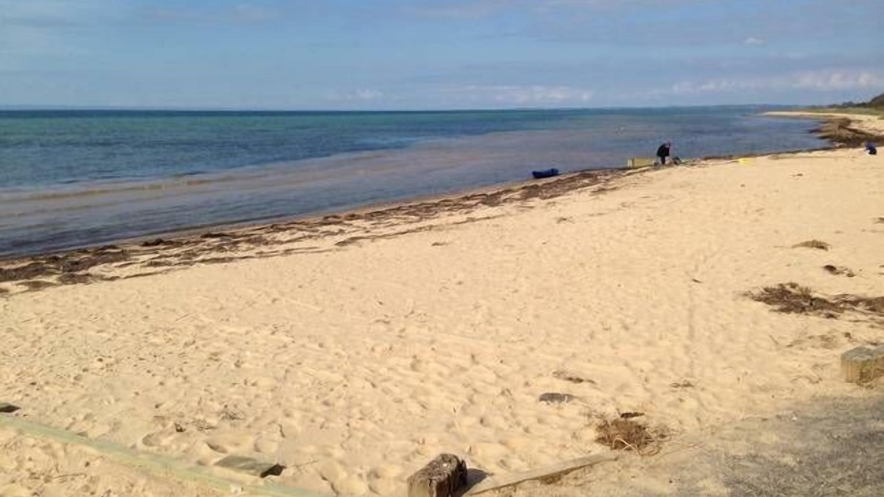 Photo of Others in St Leonards
